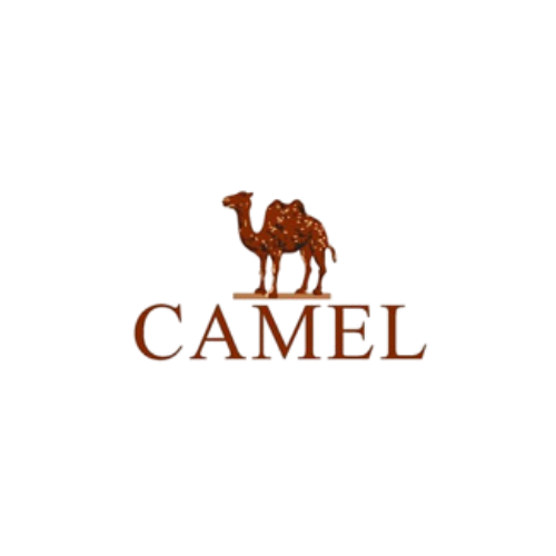 GEO · 合作客戶標誌:駱駝
